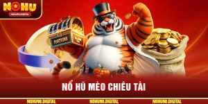 Nổ Hũ Mèo Chiêu Tài: Bí Quyết Thắng Lớn Từ Cao Thủ Tại NOHU