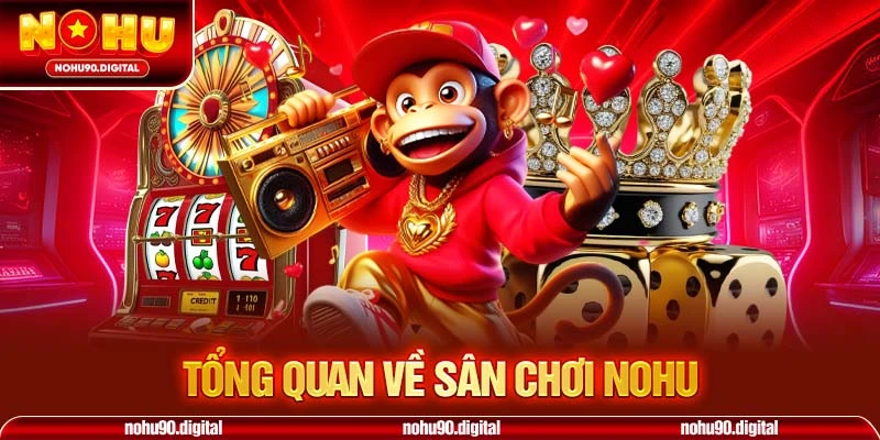 Tìm hiểu sân chơi NOHU